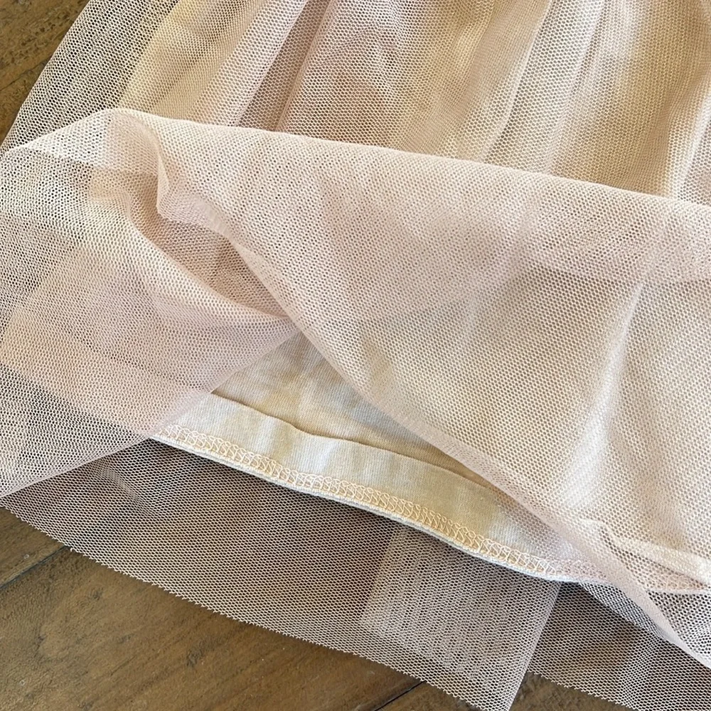 Zara rosy tan velour tulle dress